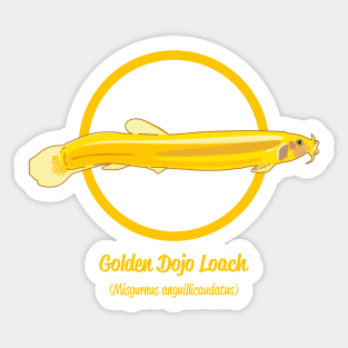 Golden Dojo Loach Sticker